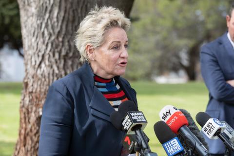 Pacific labour scheme to meet harvest demands