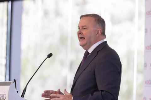 Albanese pitches major child care overhaul