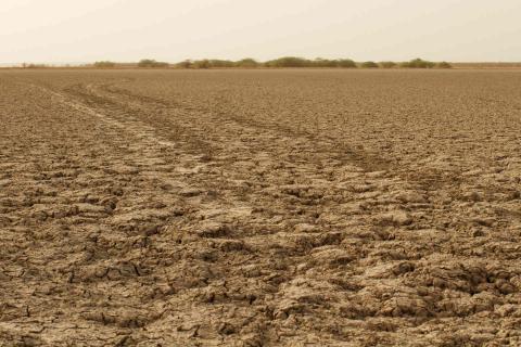 Tough choices on mixed farms