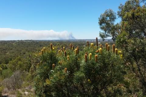 Calls for PM to have clear disaster role