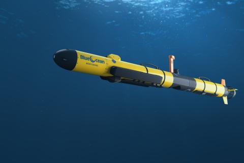 Tide is high for Blue Ocean