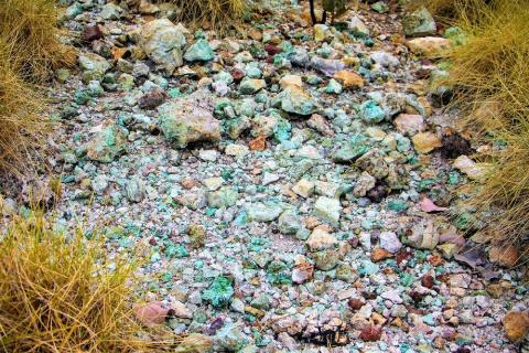 Calidus steps up Pilbara copper hunt