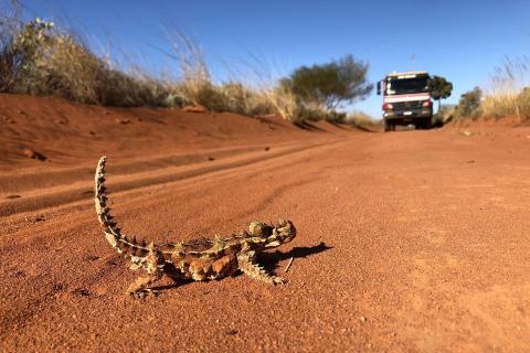 White Cliff gets dirty in Paterson Province
