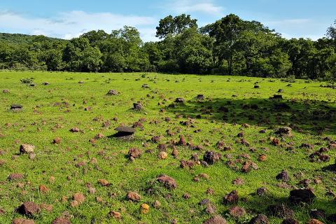 Lindian clinches Guinea approval for bauxite asset deal