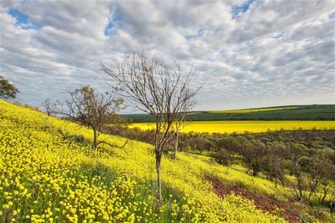 Alterra executes Dambadgee Springs sale