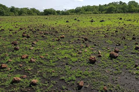 Lindian locks in monster Guinea bauxite project