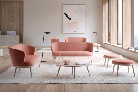 Top 4 Best Timber Types for Chairs