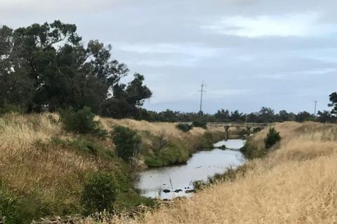 WA consortium to upgrade Busselton drain