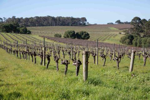 China not targeting Australia: Morrison