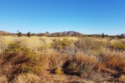 Azure raises $37m for WA projects