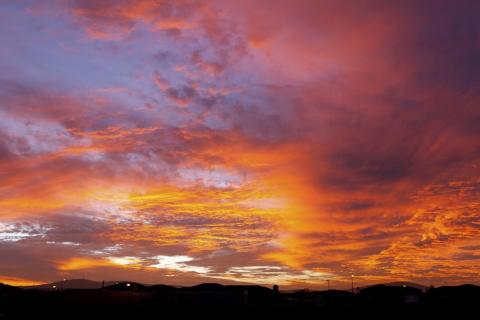 Beach offloads SA project to Red Sky