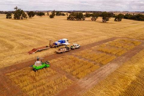 Lithium Australia harvests  battery waste as fertiliser
