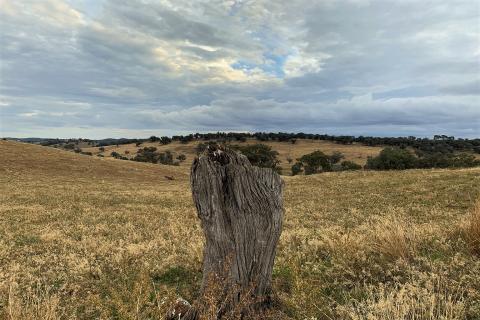 Godolphin delves deeper into Lachlan discovery