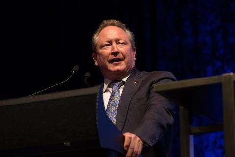 Iron ore, property drive wealth for state’s highest flyers