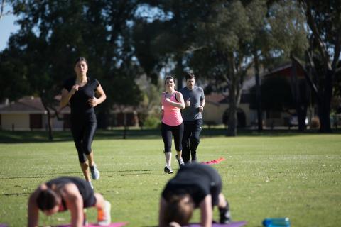 ACCC rejects Google's Fitbit undertaking