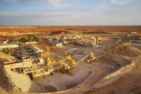 Solid gold sniffs for White Cliff at Reedy South