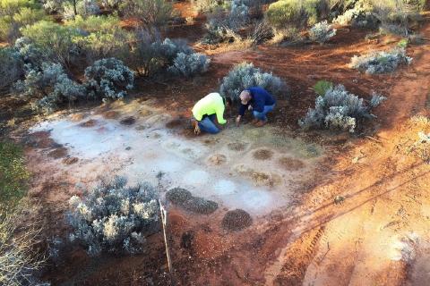 Legend grows Mawson nickel discovery