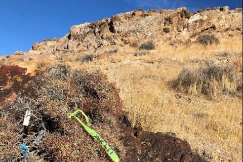 Delecta joins US gold hunt