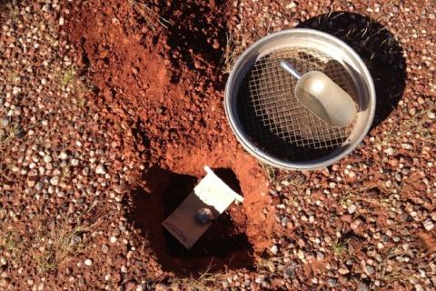 Dampier reveals extensive Credo gold corridor