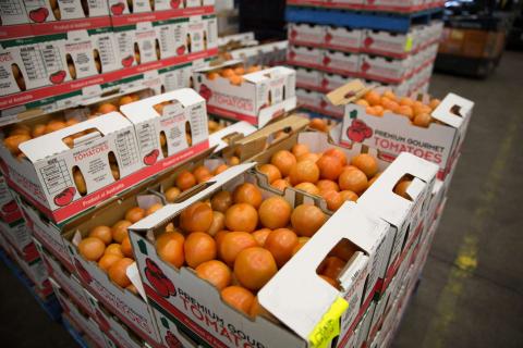 Fruit, veg crops being left to rot: Labor