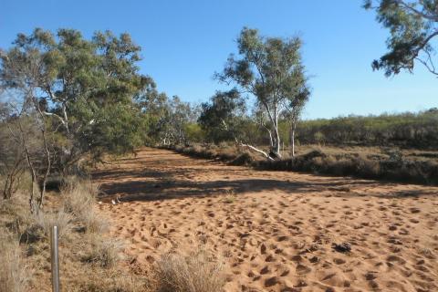 Blackstone eyes ASX listing for gold spin-out