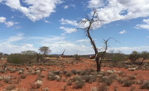 Surefire ramps up WA exploration