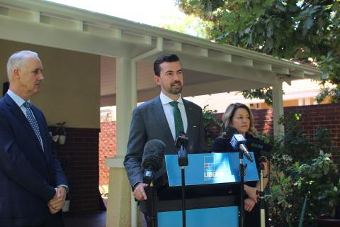 Liberals promise rapid switch from coal