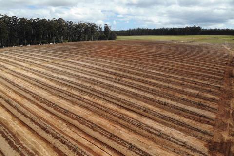 Interest grows in ag investment