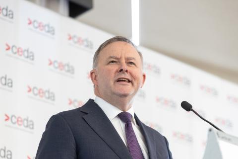 Batteries, electric cars powers Labor plan