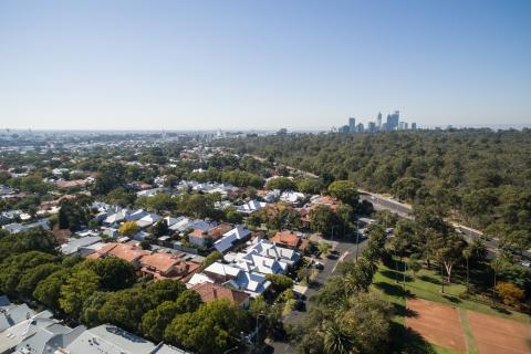 Bright spots drive optimism for 2021