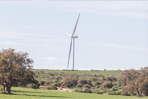 $9bn hydrogen proposal adds to green export dreams