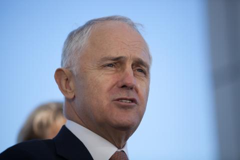 Turnbull dumped from NSW climate board