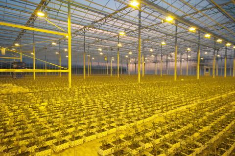 WA’s ag-tech revolution