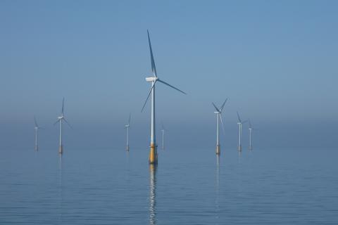 Green projects look for green approvals