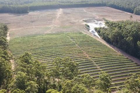 Alterra attracts high-profile backing