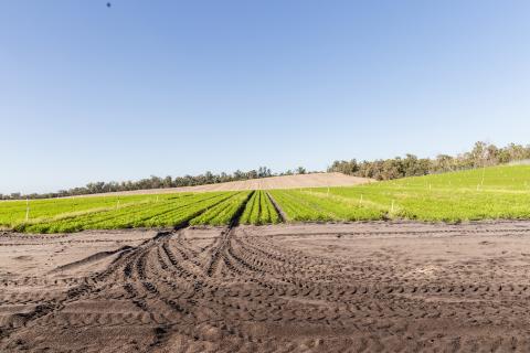 $371m boost for biosecurity checks