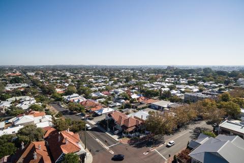 Field firms for Nedlands mayoral race