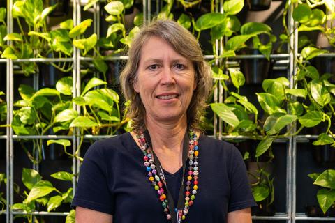 Commercialisation hurdles stifle innovation