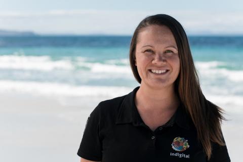 Indigital drives spatial web diversity