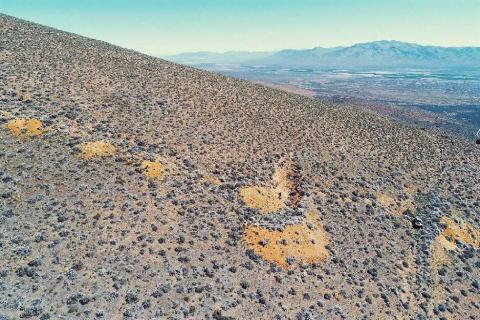 Bonanza assays inspire PolarX to expand Nevada holdings