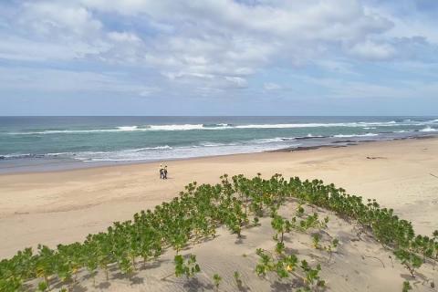 Rio halts South African operations