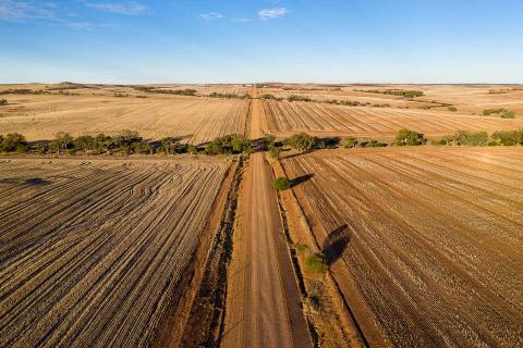 Tree planting programs are important – but biodiversity will make the difference