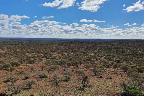 Aldoro lights up new WA base metal electromagnetic targets