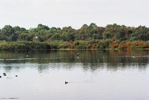 Chevron donates $3m to wetlands projects