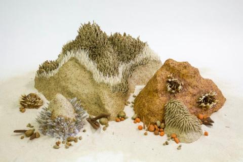 ARTS REVIEW - Defence/Defiance & Habitation and Decay