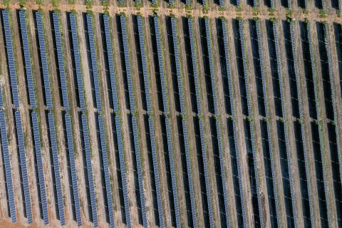 MacTiernan in the Bulldozer Seat