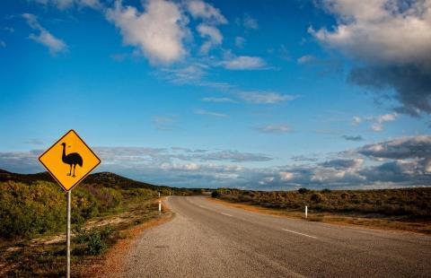 The Benefits of 'Know(ing) Thyself'