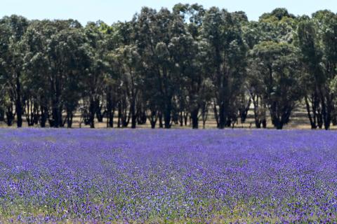 Rebrand need not Wait Awhile