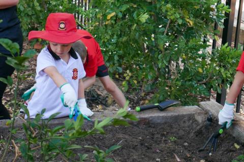 Aquinas extended program huge hit with families.