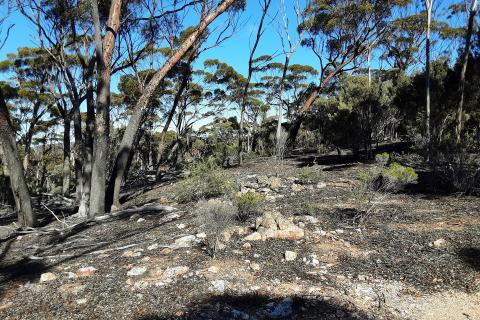 Aruma primed to drill test WA lithium play